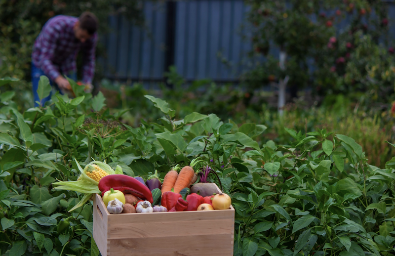 Screenshot 2025-12-16 at 11.22.20