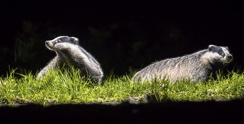 Screenshot 2026-04-04 at 10.10.24