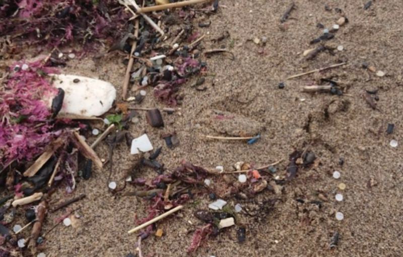 Nurdles at Brook beach (Planet Aware 2026)